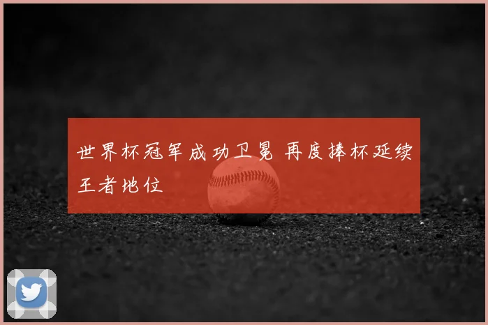 世界杯冠军成功卫冕 再度捧杯延续王者地位