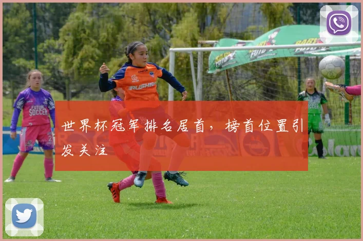 世界杯冠军排名居首，榜首位置引发关注