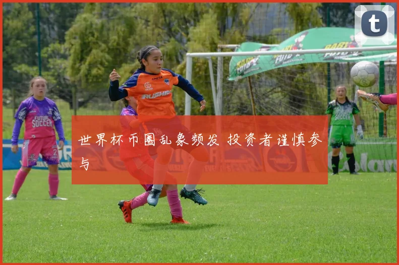 世界杯币圈乱象频发 投资者谨慎参与